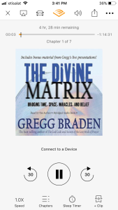 The Divine matrix by Gregg Braden