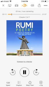 Rumi poetry book