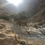 Wadi Naqab