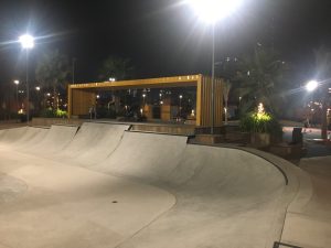 D3 Skate park