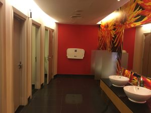 Pleasant wall paneling in washrooms - IBIS Hotel Dubai