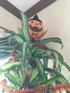 Hallween party decorations